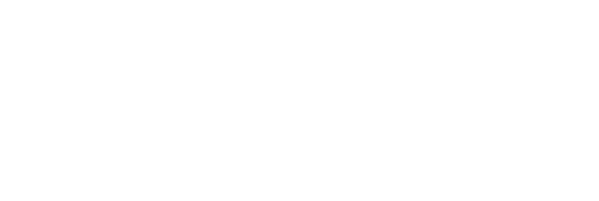 brown & nye white logo